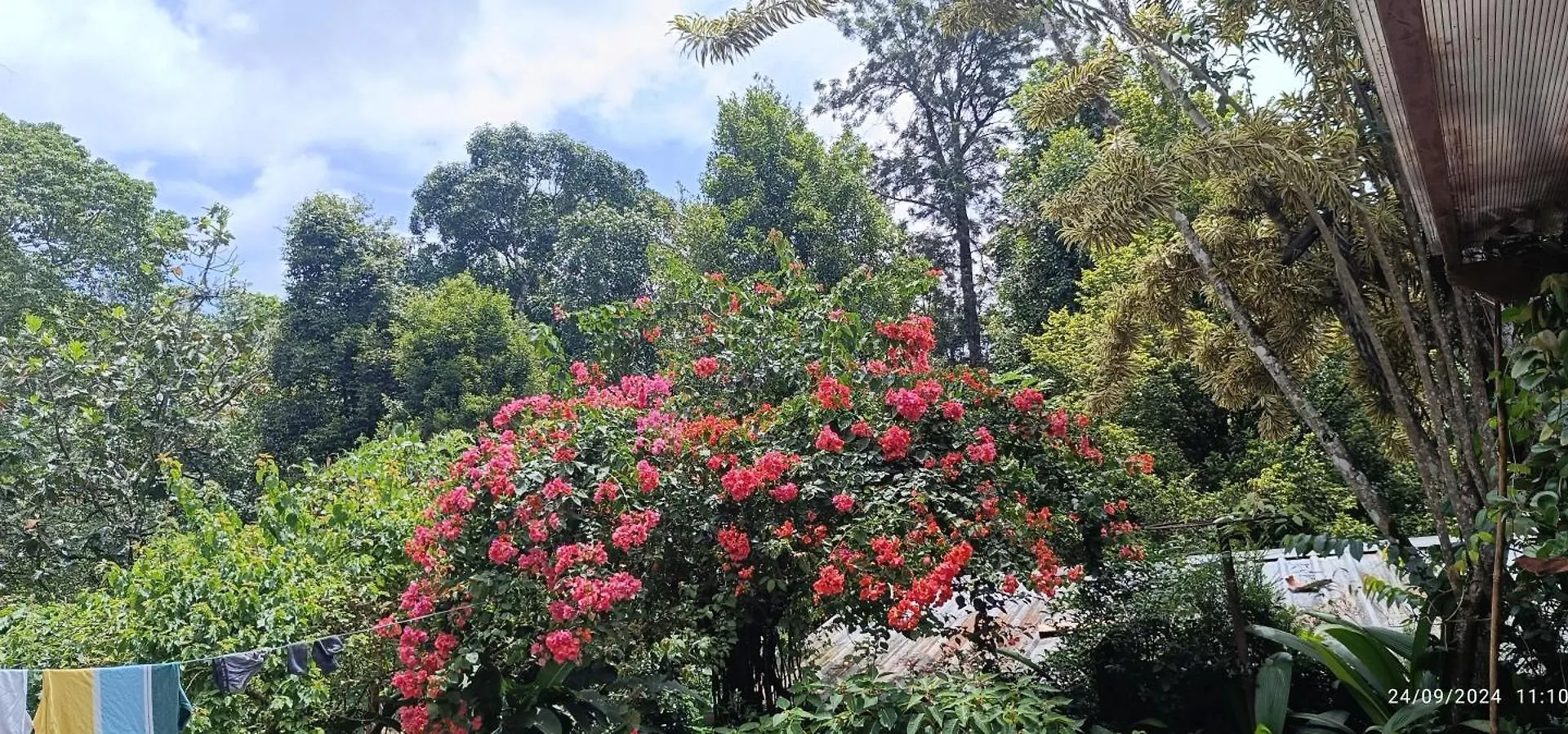 Nadackal Nature County Munnar