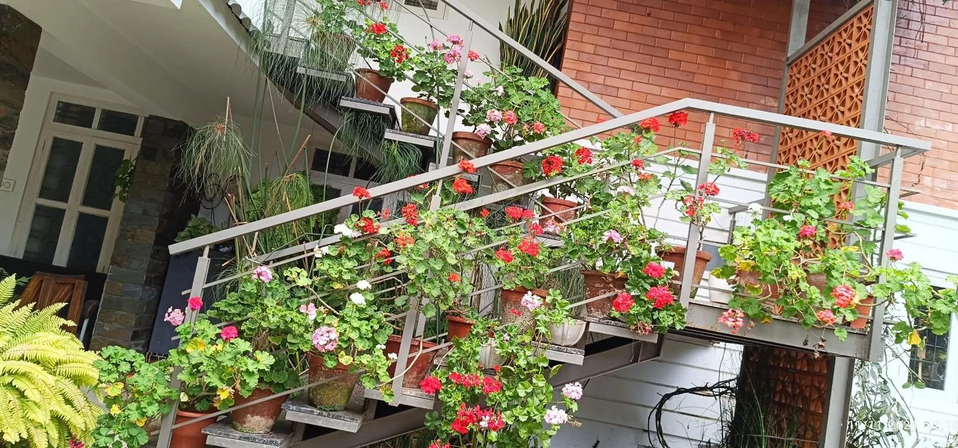 Nadackal Nature County Munnar Homestay