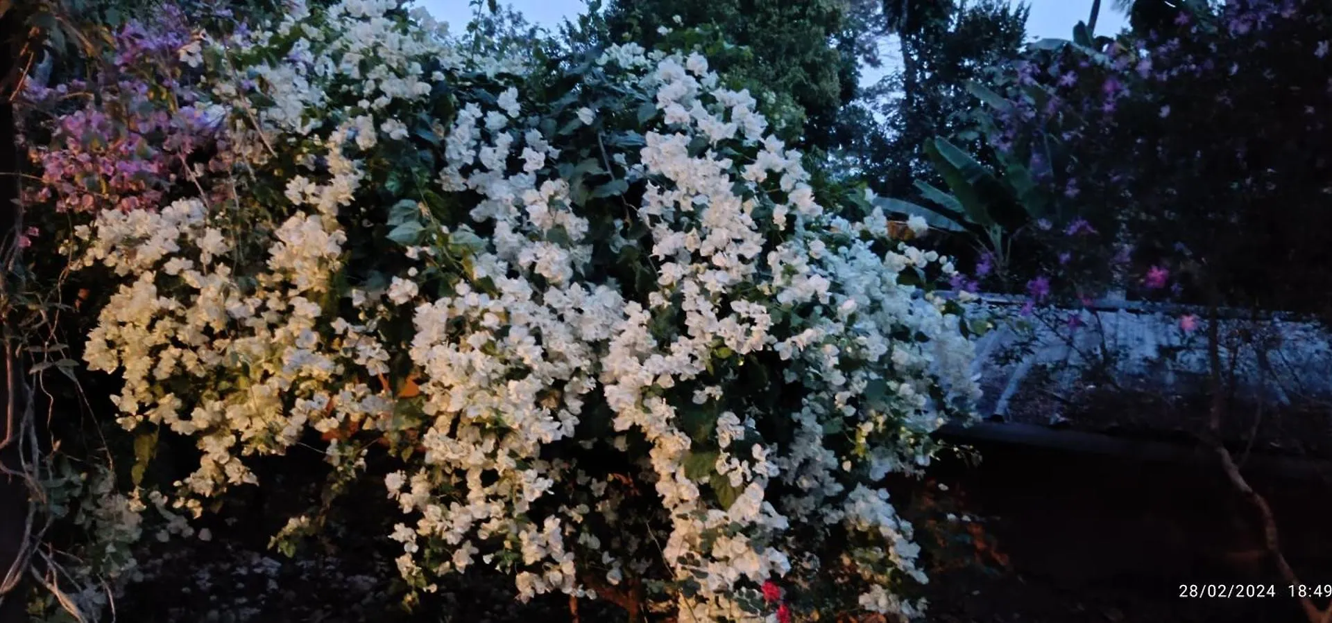 Homestay Nadackal Nature County Munnar