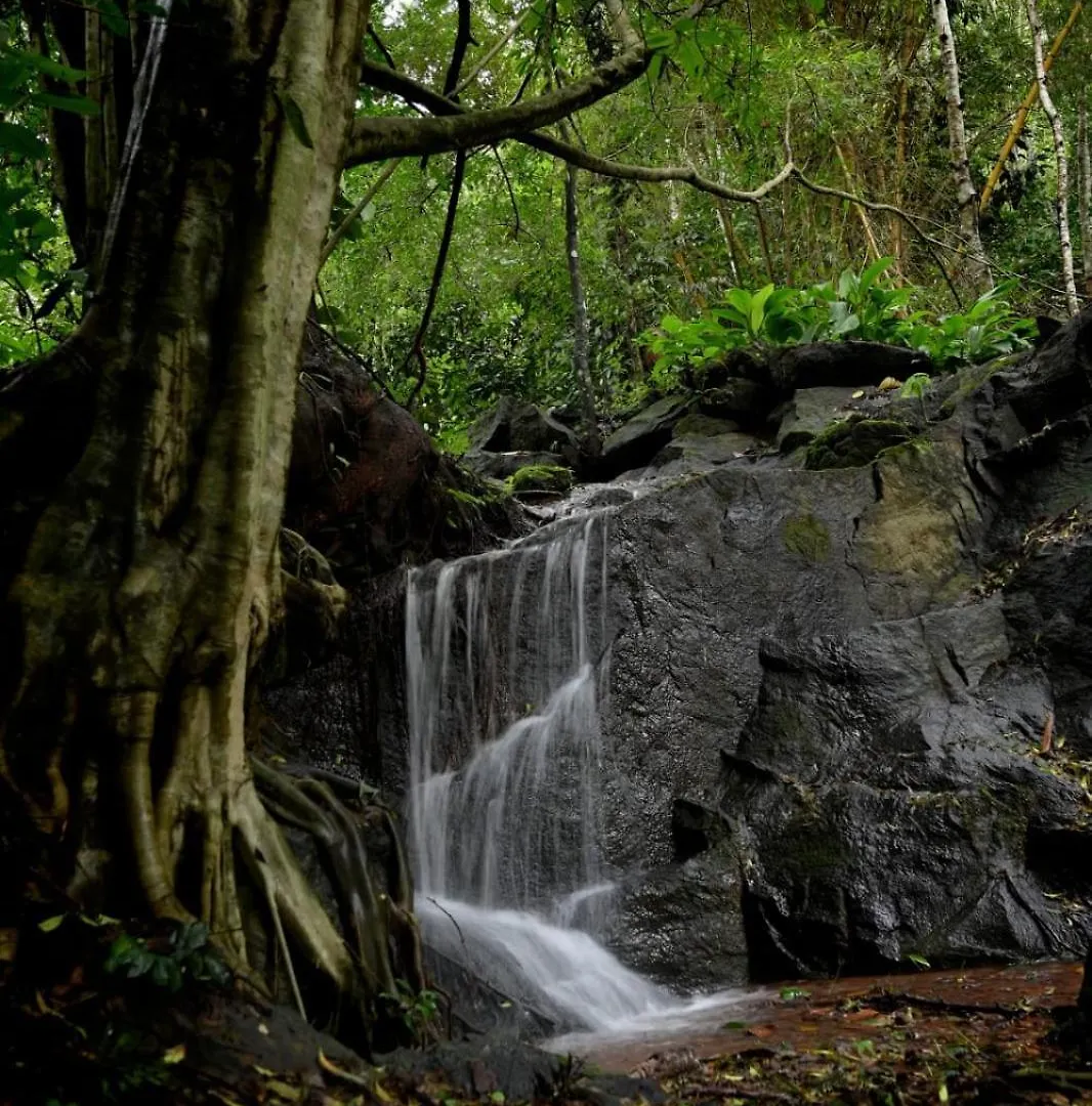 Nadackal Nature County Munnar 0*,