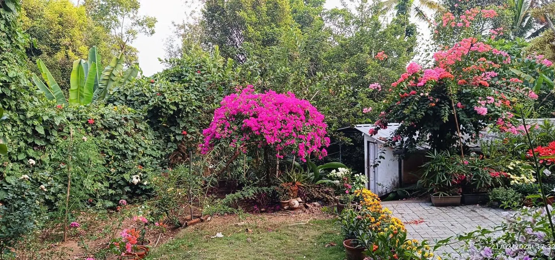 Homestay Nadackal Nature County Munnar