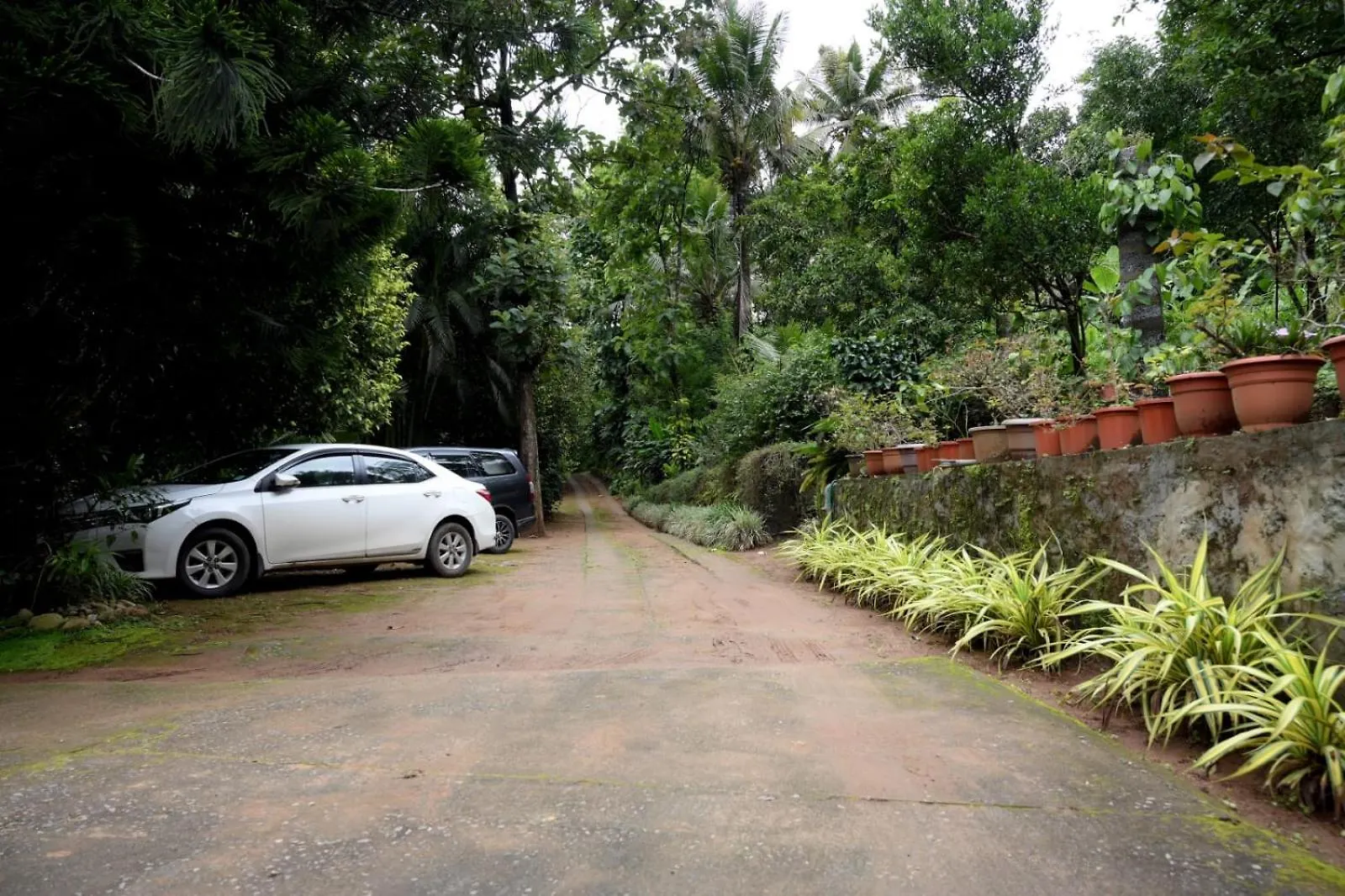 Homestay Nadackal Nature County Munnar