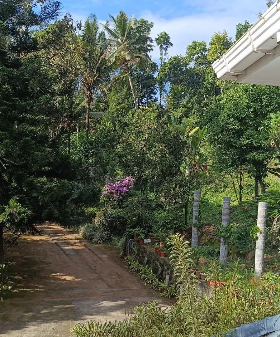 Nadackal Nature County Munnar Indie