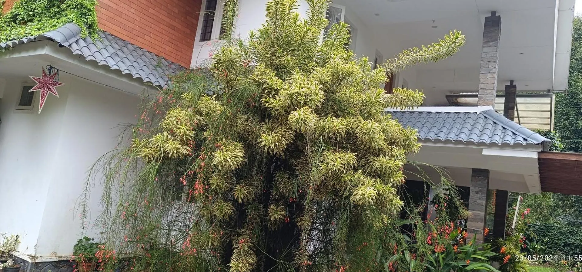 Ubytování v soukromí Nadackal Nature County Munnar Indie