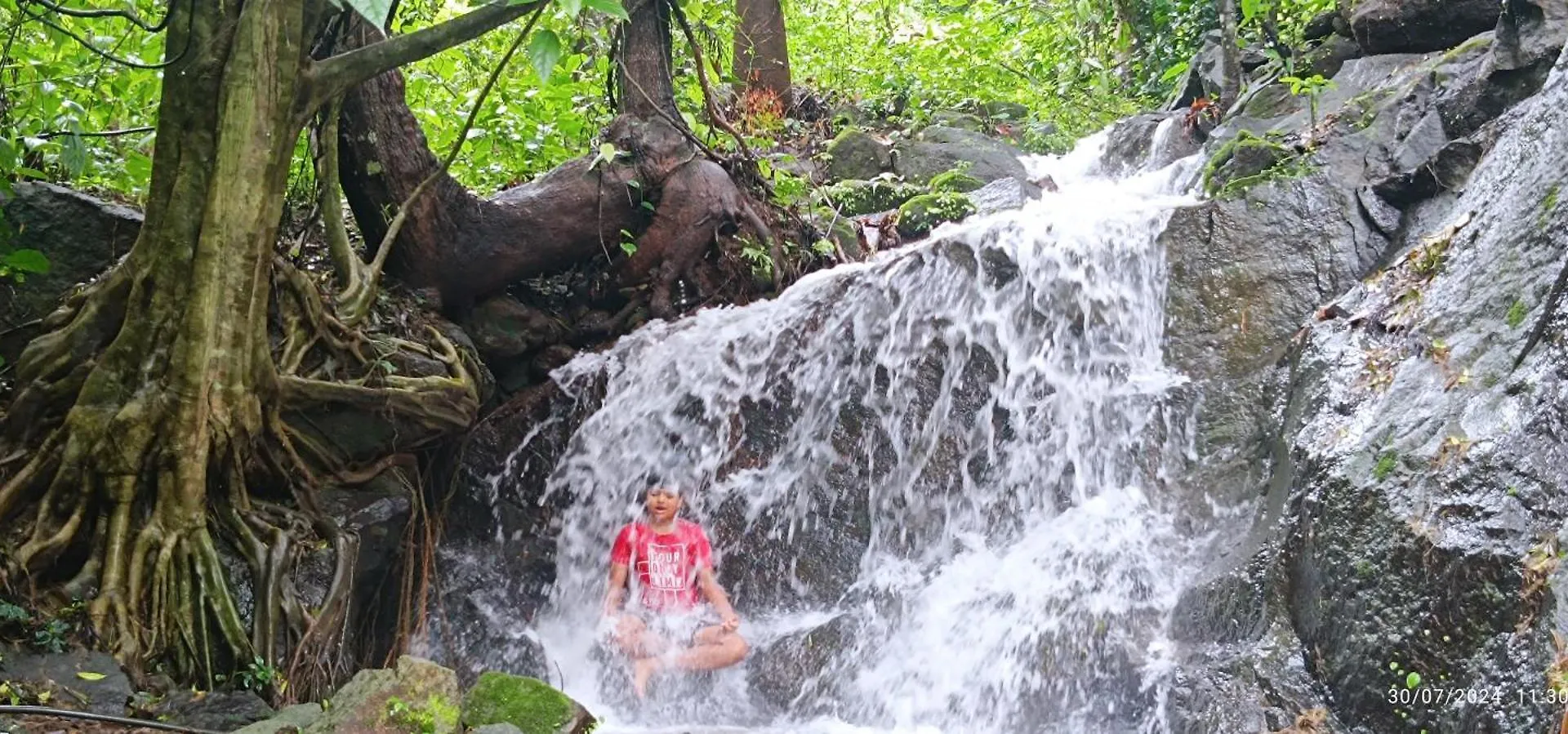 Nadackal Nature County Munnar 0*,  Indie